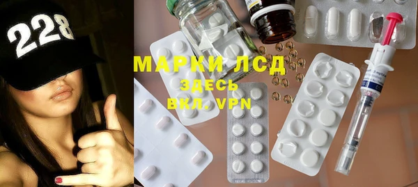 стафф Арсеньев