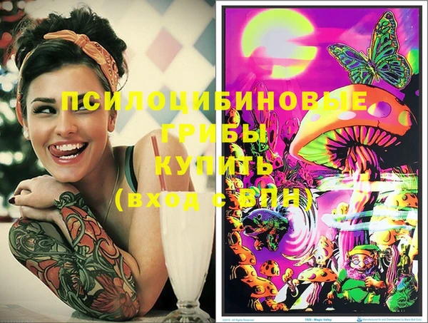 стафф Арсеньев