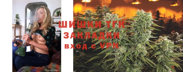 стафф Арсеньев