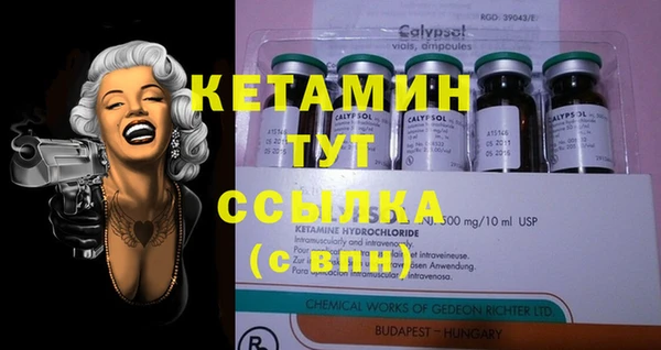 стафф Арсеньев